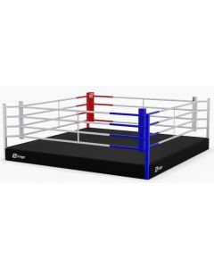 Training boxing ring