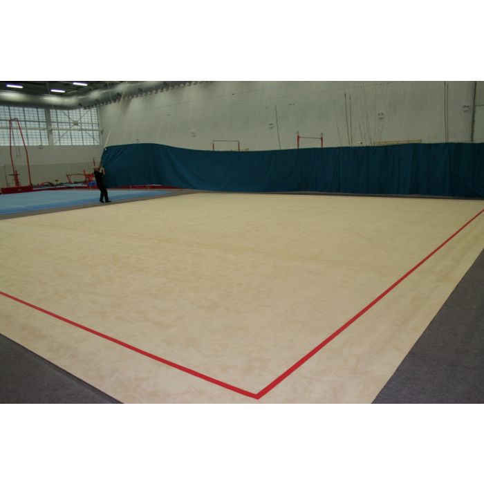 Rhythmic gymnastics floor area